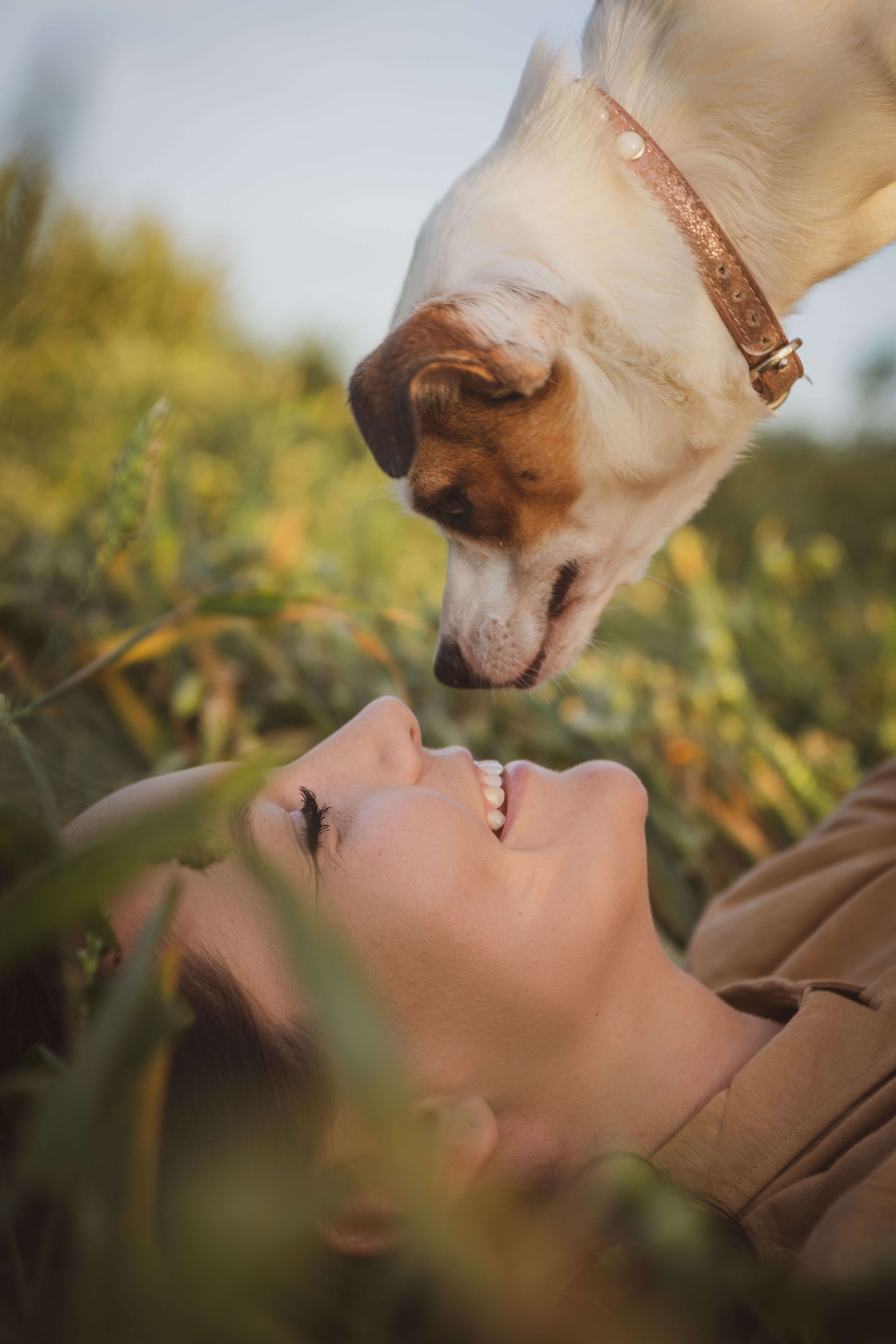 Comunicación con animales vivos y trascendidos