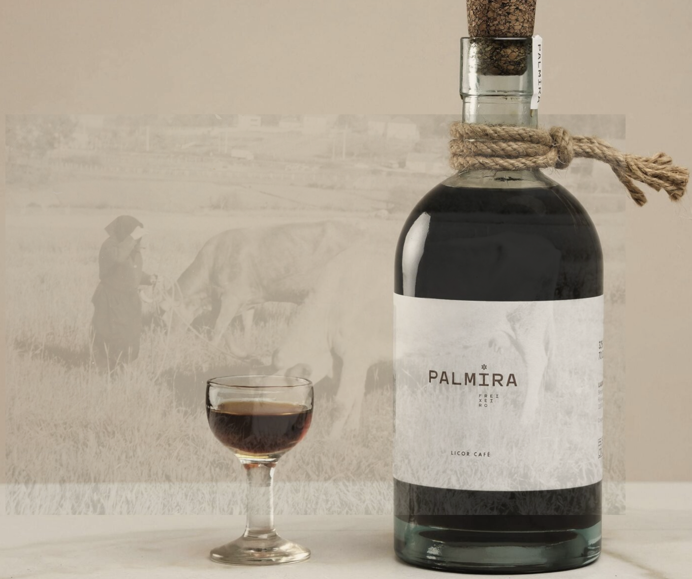 Imagen de Palmira