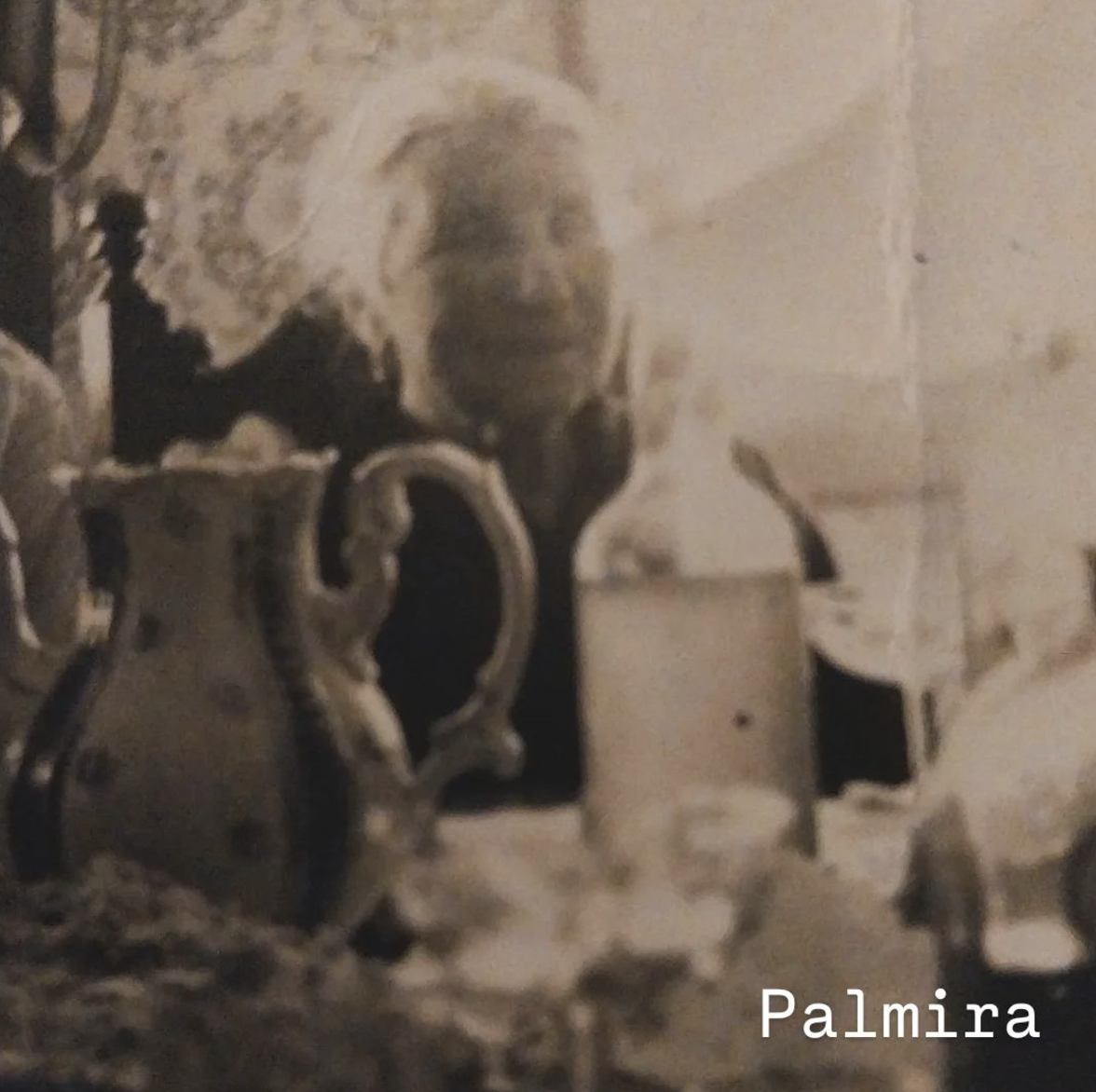 Palmira 1